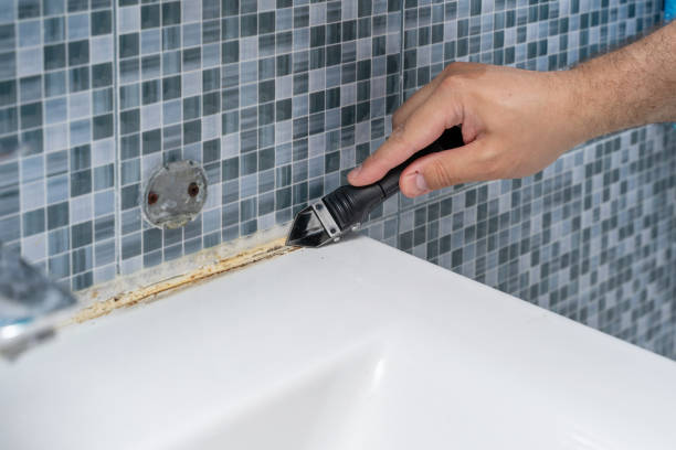 Best Commercial Mold Removal  in Columbiana, OH