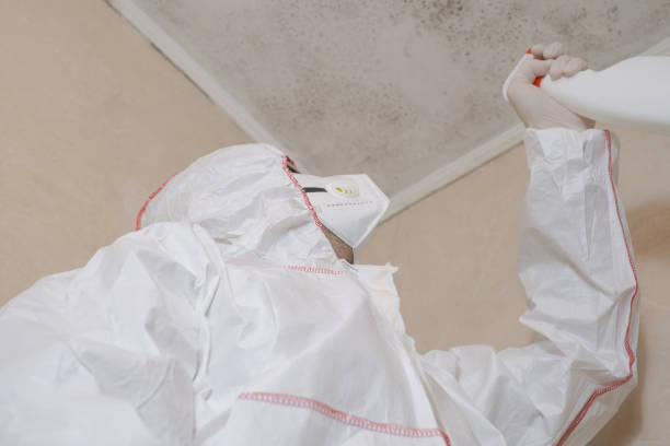 Best Toxic Mold Removal  in Columbiana, OH