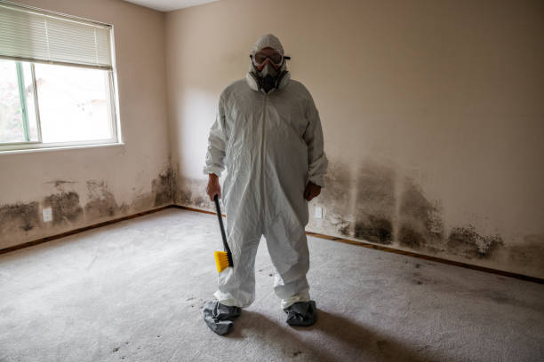 Water Damage Restoration in Columbiana, OH